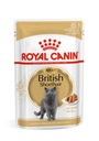 ROYAL CANIN Britská krátkosrstá v balení 12x85g