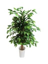 Umelý stromček Ficus Benjamina kvet 100 cm