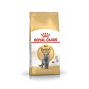 ROYAL CANIN Britské krátkosrsté suché krmivo pre mačky 10 kg