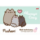 Technická podložka A4, 10 listov, kriedový obal PUSHEEN p10, cena za 1 kus