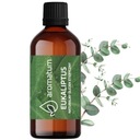 AROMATUM prírodný esenciálny olej EUCALYPTUS eukalyptus XL 100ml