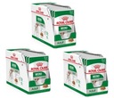 Royal Canin Mini Adult sáčok 36 x 85 g