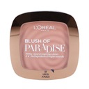 L'OREAL PARIS Life's A Peach Blusher 01 Peach Addict 9g