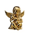 Rosenthal Medium Angel with Cat Golden Valentine's Day