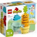 DUPLO 10981 Tehly Rastúca mrkva LEGO 10981