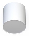 Stropné svietidlo POINT PLEXI M, biele