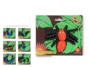 SPIDER SCORPION BAT CENTIPED HALLOWEEN 7KS 1o