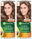 GARNIER Color Naturals 6 TMAVÁ Blond x 2