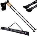 PALICE NA NORDIC WALKING + TREKINGOVÉ BODY 2 SEGMENTY