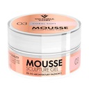 VICTORIA VYNN MOUSSE GEL 03 KORALOVÝ MÄKKÝ 50ML