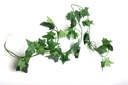 Repti-Zoo závesná rastlina 190cm - Hedera