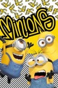 Deka Minions 5574 fleece 5574 100x150 Jerry Fabrics