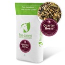 Špeciálne Quarter Horse Müsli pre kone AQH Paints 20kg