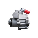 POWER POWER PUMP A3 BORA CADDY GOLF POLO PASSAT