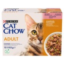 Purina Cat Chow Dospelý losos v želé vrecká 10 x 85g