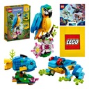 LEGO 3 v 1 - exotický papagáj, ryba, žaba (31136) + taška + katalóg LEGO 2024