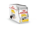 ROYAL CANIN CCN DERMACOMFORT LOAF 12X85G krmivo