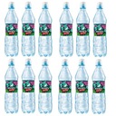 12x 600ml RODOWITA Športový vodný ngas VARIČ