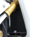 KRYT NA RADIATOR R&G KAWASAKI ZX-6RR TITANIUM