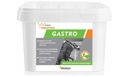 Yarrowia Equinox Gastro 1,5 kg