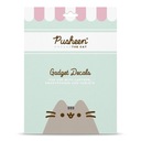 NÁLEPKY NA SMARTPHONE LAPTOP PUSHEEN 16 KS Cat Kitten PUSHIN