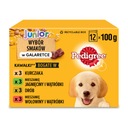 PEDIGREE JUNIOR 12X100G PRE PSA ŽELÉ KRMIVO