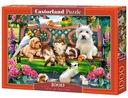 PUZZZLE 1000 PETS IN THE PARK CASTOR, CASTORLAND