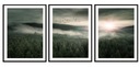 OBRAZOVÝ PLAGÁT V RÁME 33x43cm Lesnícky triptych P2036