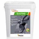 YARROWIA Equinox Gastro 1,5 kg