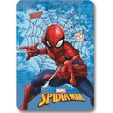 DEKA SPIDERMAN 100 X 140