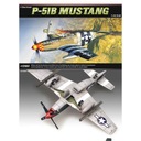 ACADEMY P51B MUSTANG 1667 [MODELING]