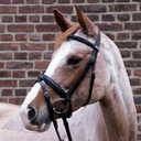 Stubben Bridle Waterford 1001 čierny COB