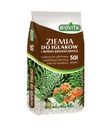 Zemina pre ihličnany Biovita 50l