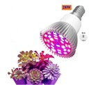 LED GROW BULB 28W na pestovanie rastlín E14