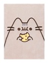 NOTEBOOK PUSHEEN NOTEBOOK KITEK PUSZIN FOODIE