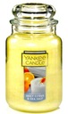 Yankee Candle Juicy Citrus & Morská soľ veľká 623