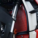 KRYT NA RADIÁTOR RG DUCATI STREETFIGH V4(S) 20-