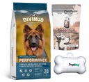 DIVINUS Performance 20kg suché krmivo pre labradora huskyho