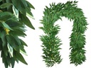 Artificial Ruskus Creeper Garland Premium Leaves 2m