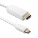 Kábel USB C samec / HDMI m. 4K Alternatívny režim 2m