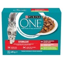 PURINA ONE STERILCAT MOTH FOOD FOR PRE CAT CAT SACHET MIX s príchuťami 12x85g