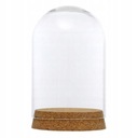 2X 8x12cm Juicy Cloche Jar Veko