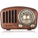 Feegar RETRO drevené FM kuchynské rádio BT SD 10h