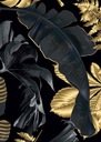 Monstera gold Plagát Plagáty B2 70x50cm Papier200