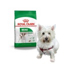 Krmivo Royal Canin SHN Mini Adult 4kg + ZDARMA