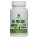 EXTRAKT GINKGO BILOBA 120 tabliet ginkgo biloba