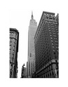 New York Empire State Building Reprodukcia 60x80cm