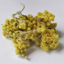 Helichrysum flower - Byliny - 500g - Darčeky Podlasie