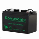 LÍTIOVÁ BATÉRIA LifePO4 100AH ​​​​12V BMS CENA -10%