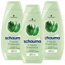 Schauma Herbs vlasový šampón 400 ml x 3